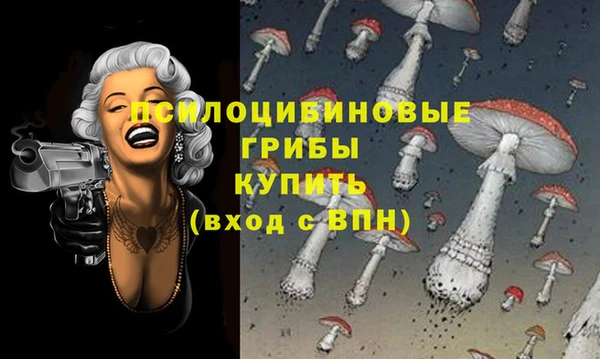 2c-b Абаза