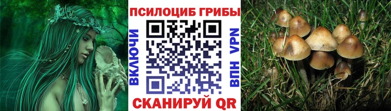 Псилоцибиновые грибы GOLDEN TEACHER  Миллерово 