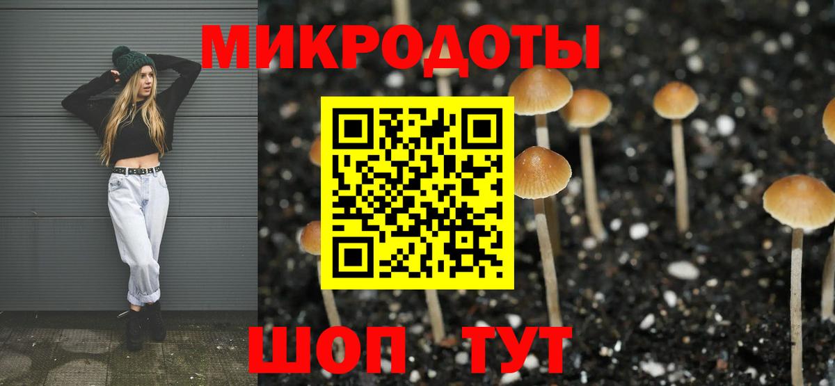 Галлюциногенные грибы Psilocybine cubensis Миллерово