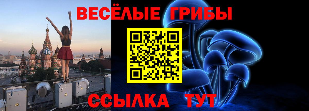 Миллерово  Псилоцибиновые грибы Cubensis  Вход с VPN  Галлюциногенные грибы Cubensis 